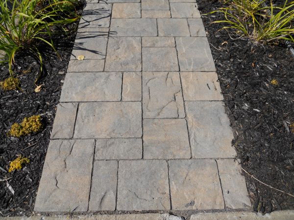 Stamped Concrete Staining in Millsboro